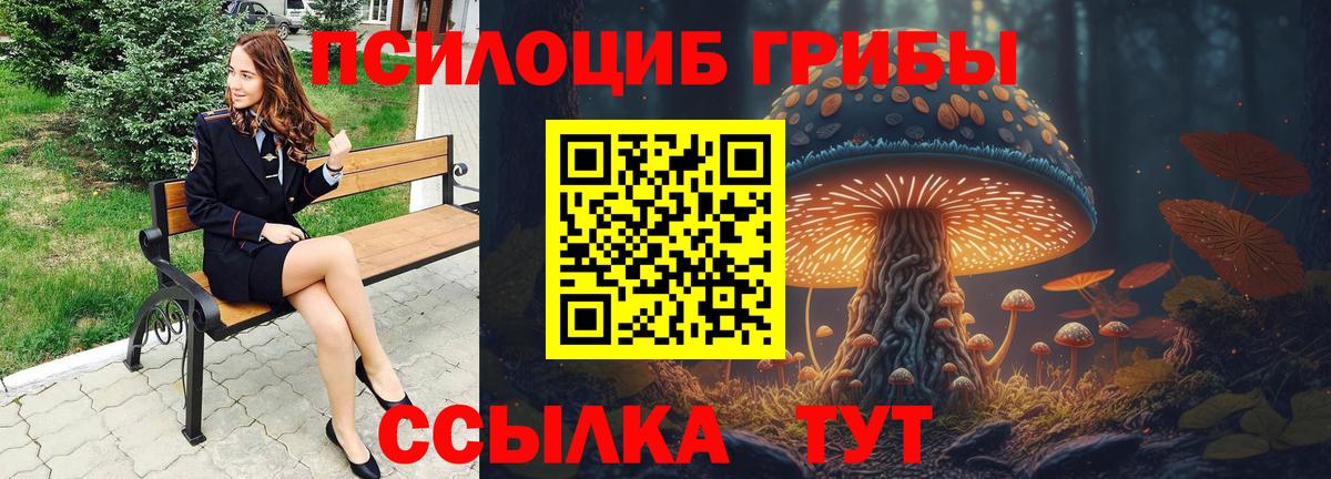 Черняховск  Галлюциногенные грибы Cubensis  купить наркотики цена  Вход с VPN  Галлюциногенные грибы Cubensis 